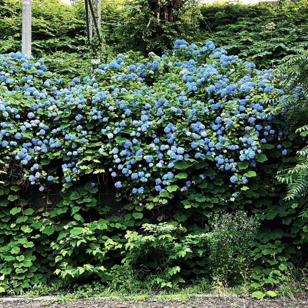 南小樽駅でのひとコマ