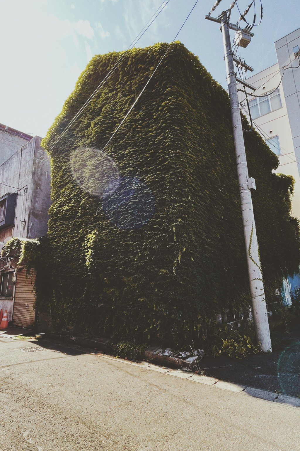 蔦に覆われた蔵