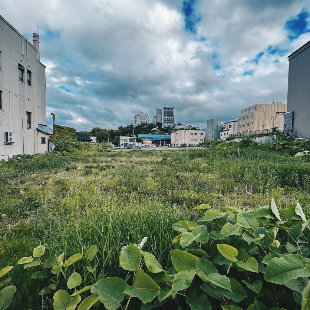 続・ぽっかりと空いた穴
