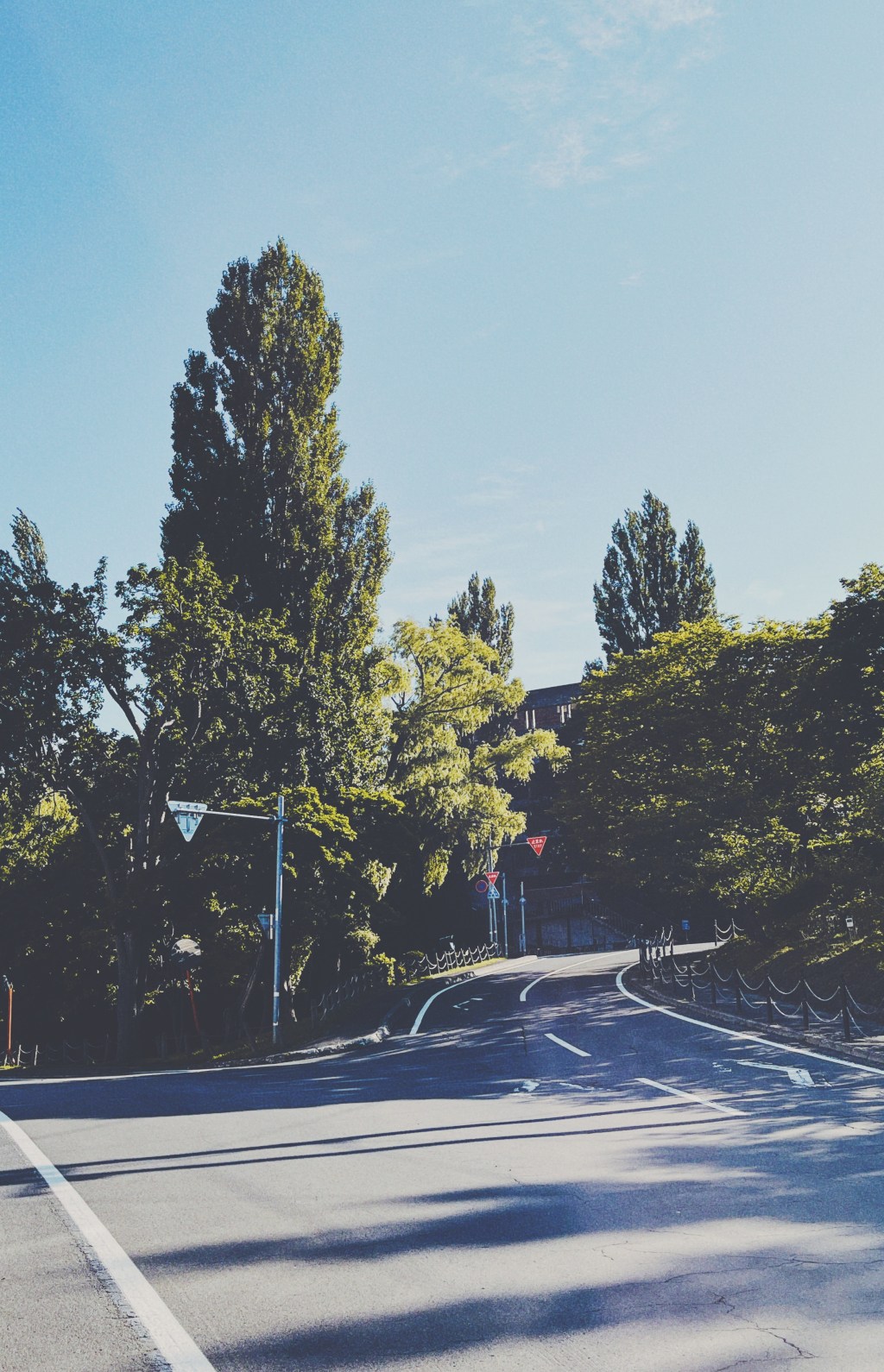 天高く伸びる木々溢れる