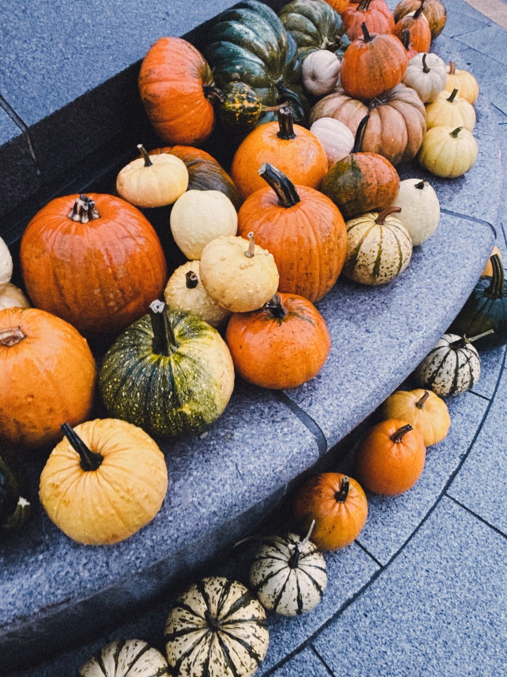 小樽で見つけた秋