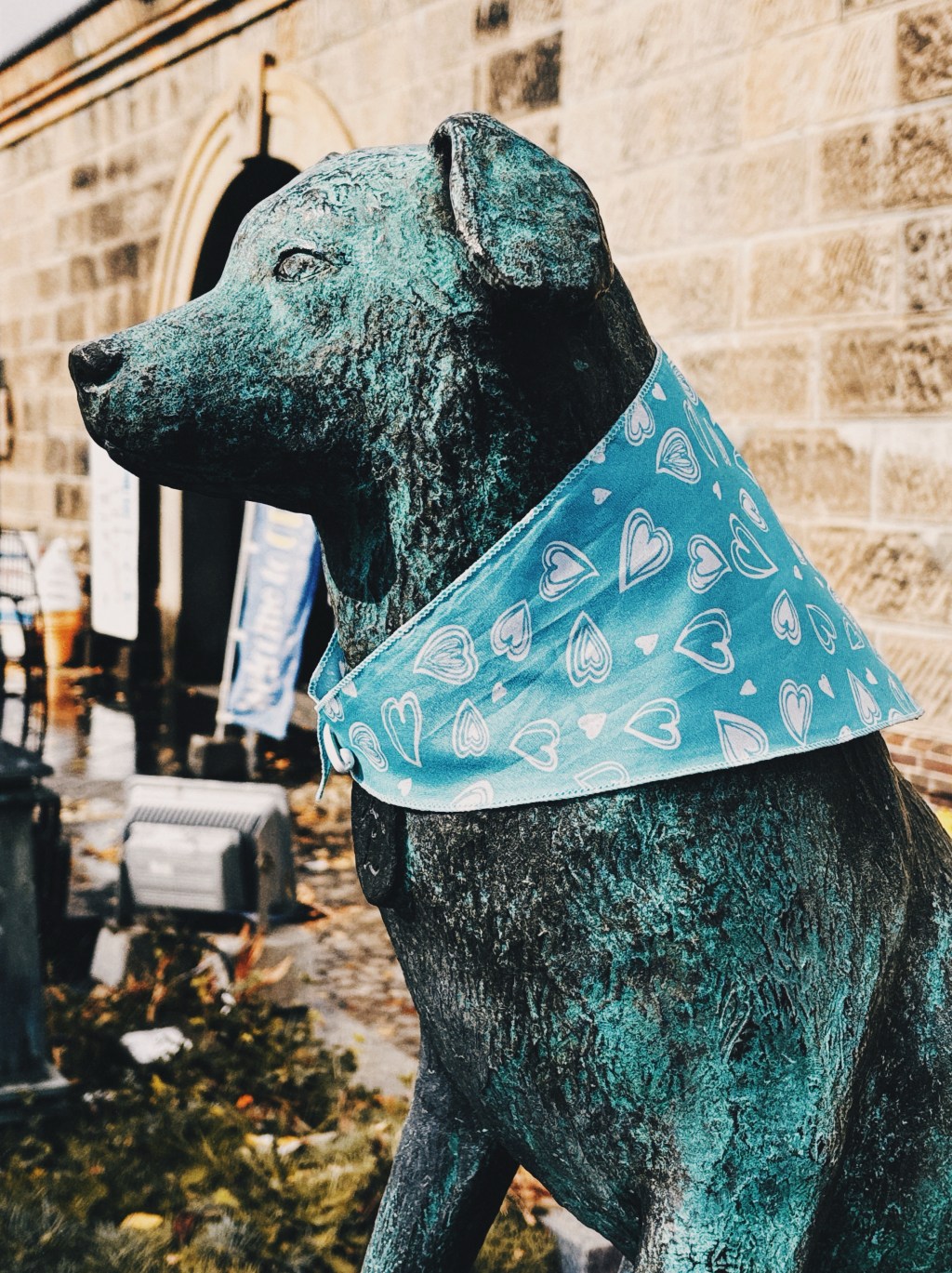 とある日のぶん公