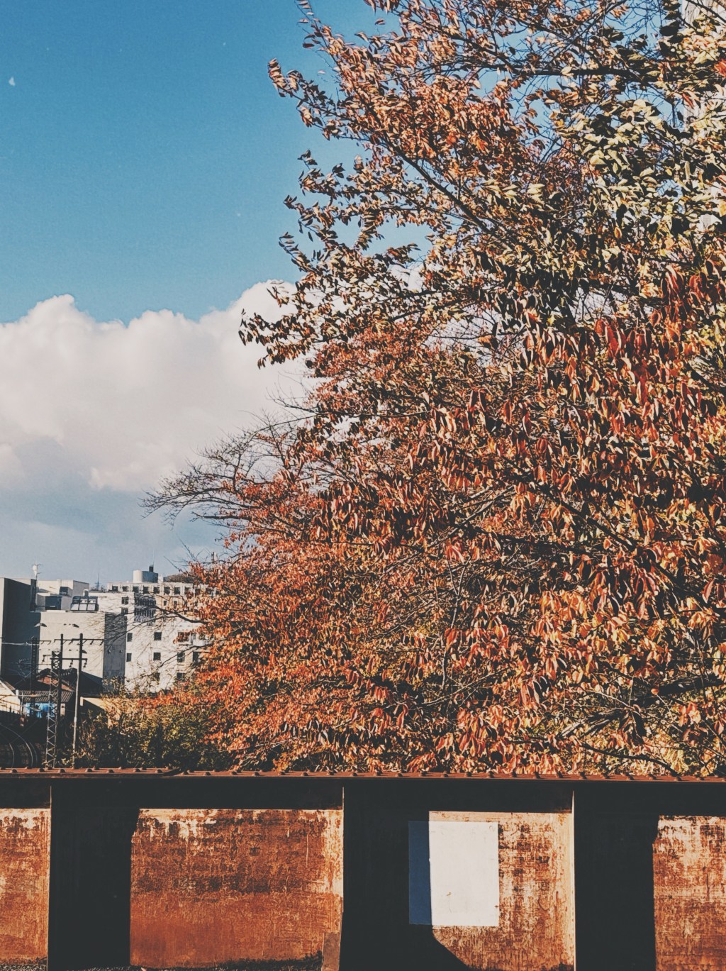歩くことが大事