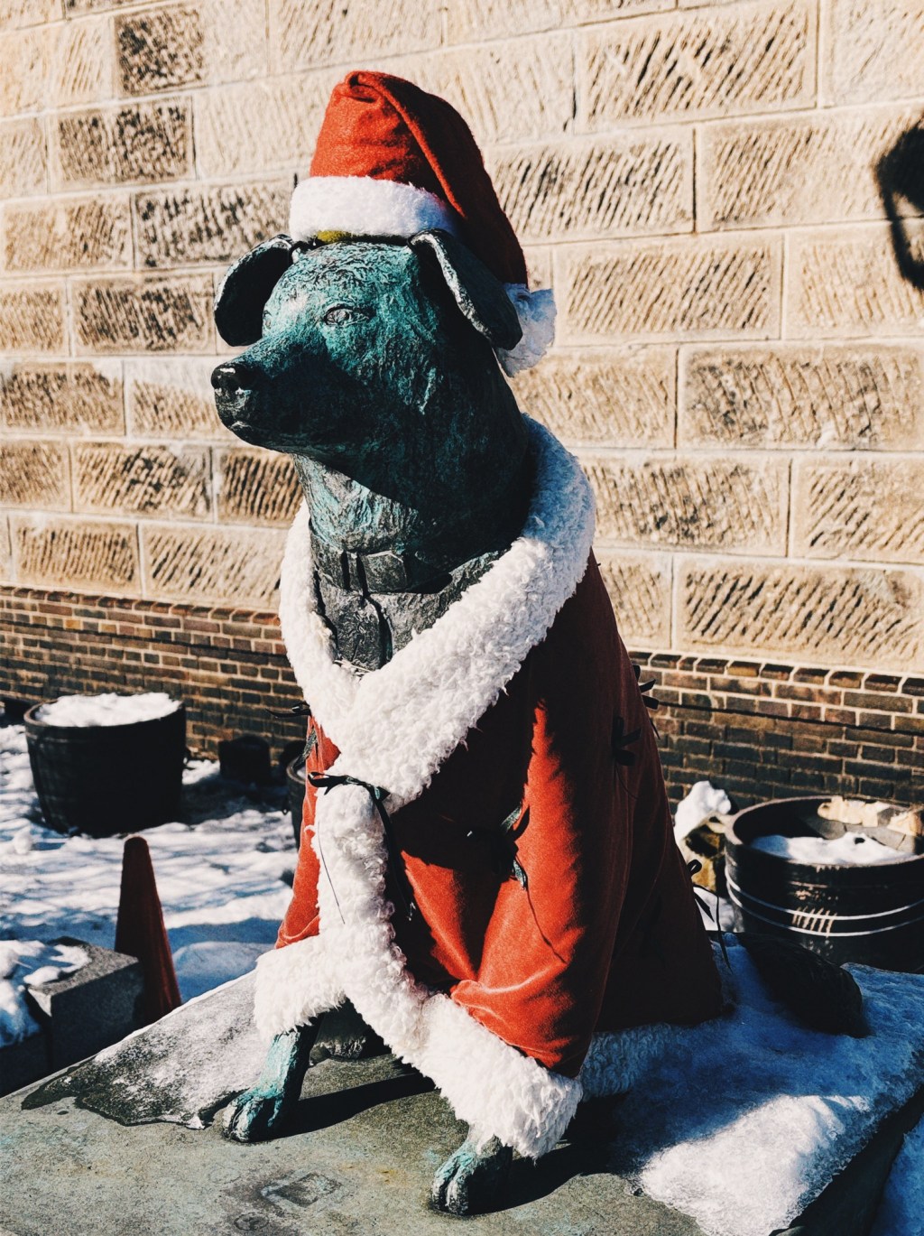 とある日のぶん公（その２）