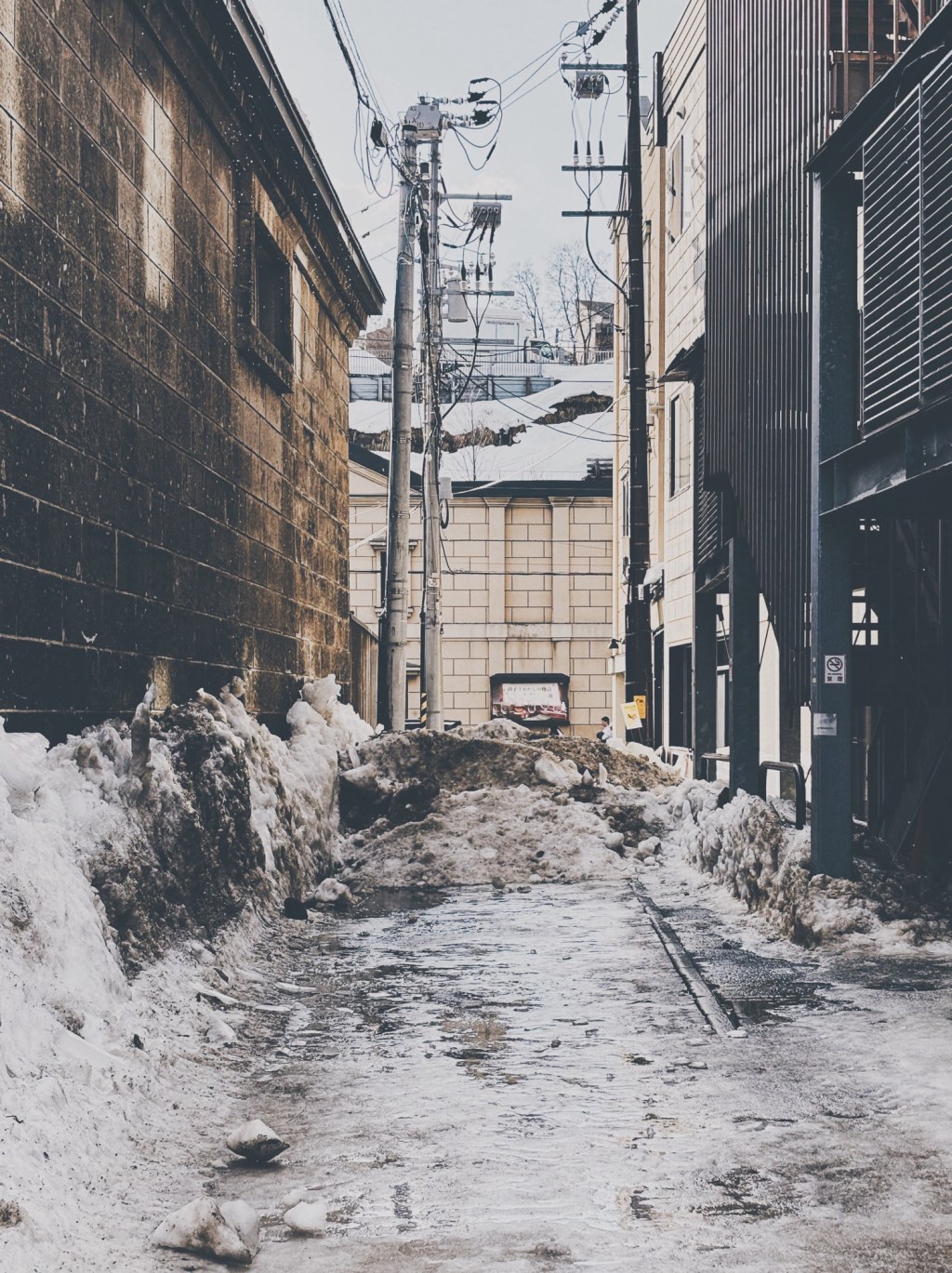 春のような景色