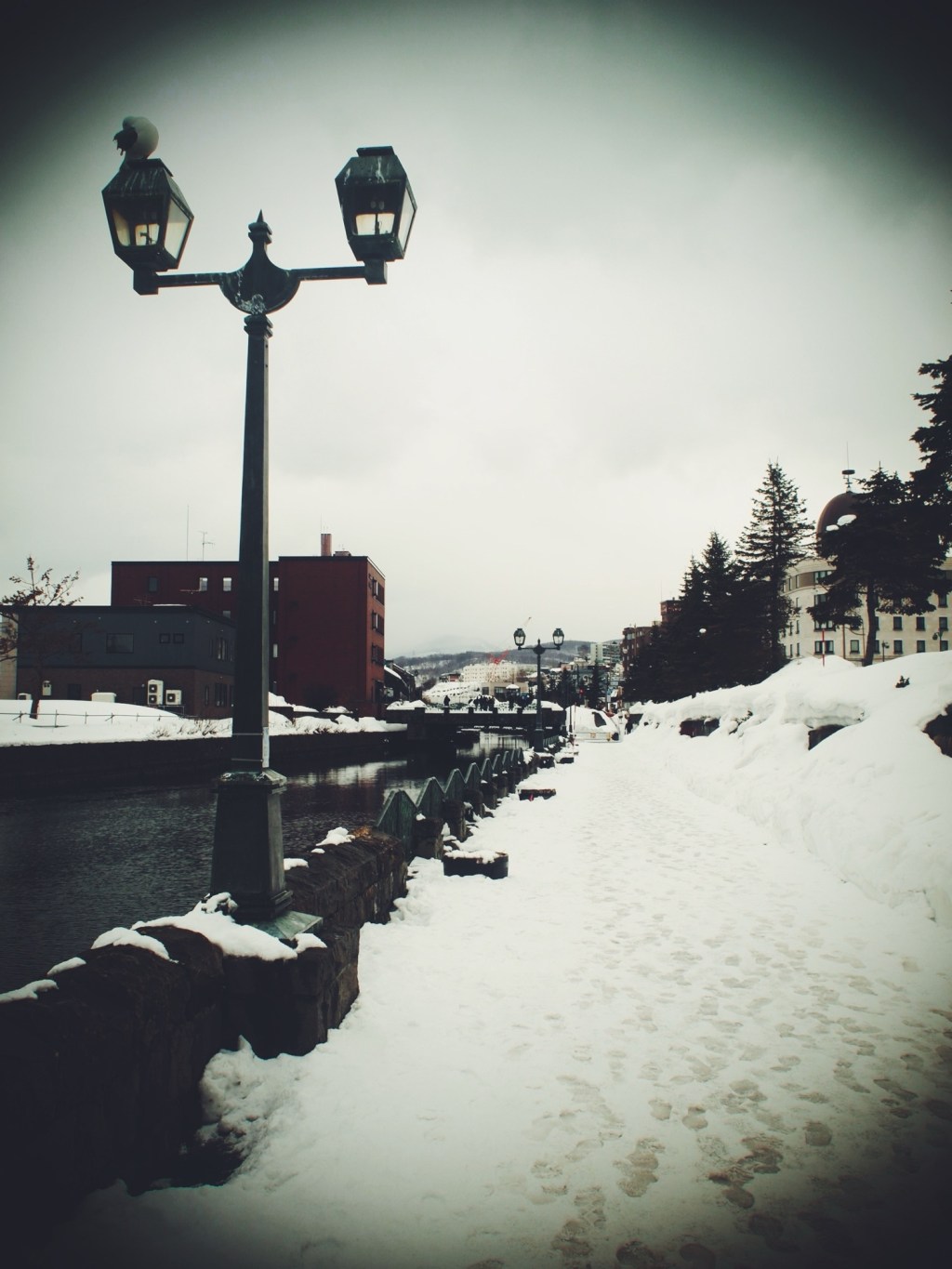 小樽スナップ⑤