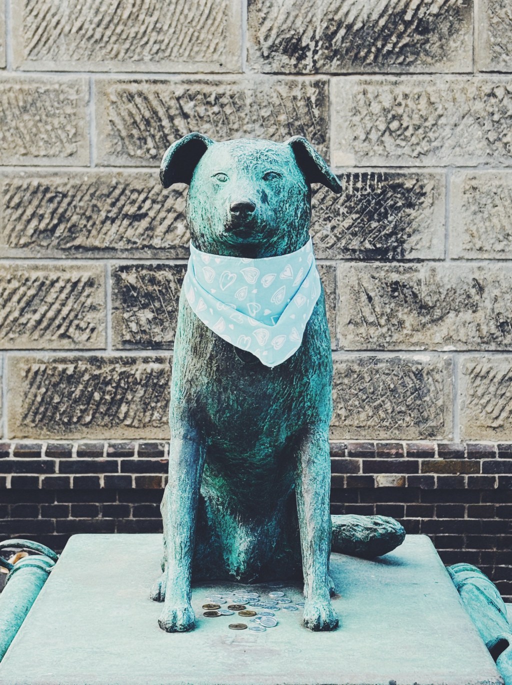 とある日のぶん公（その４）