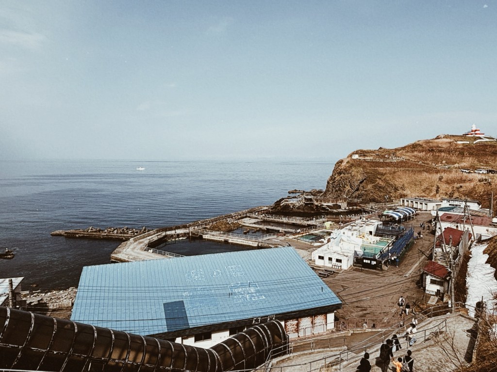 おたる水族館（写真のみ）