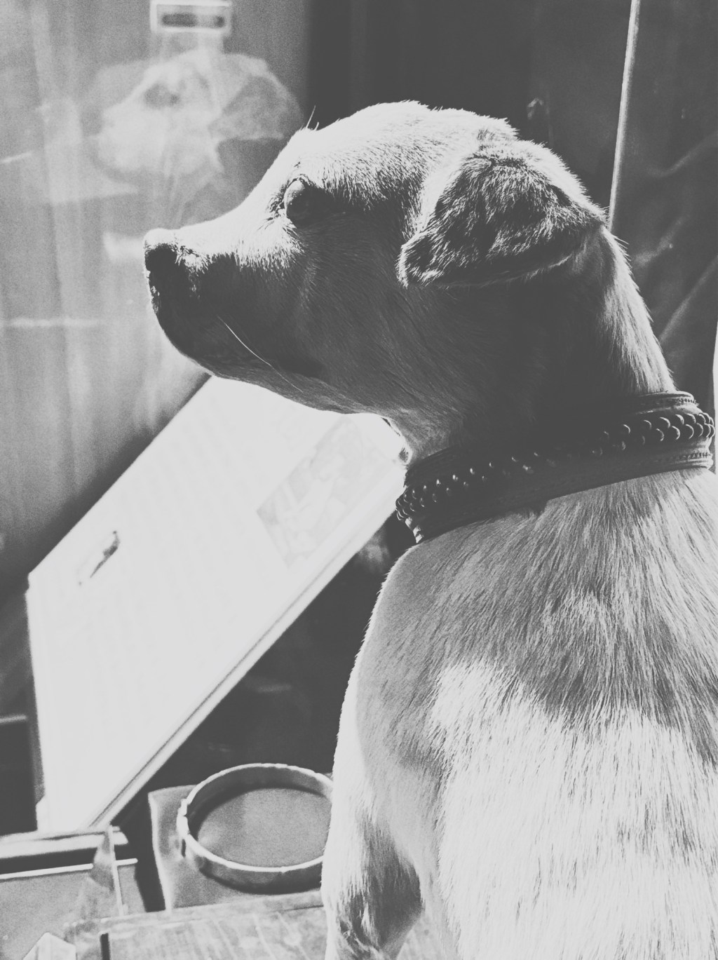 博物館で見るぶん公