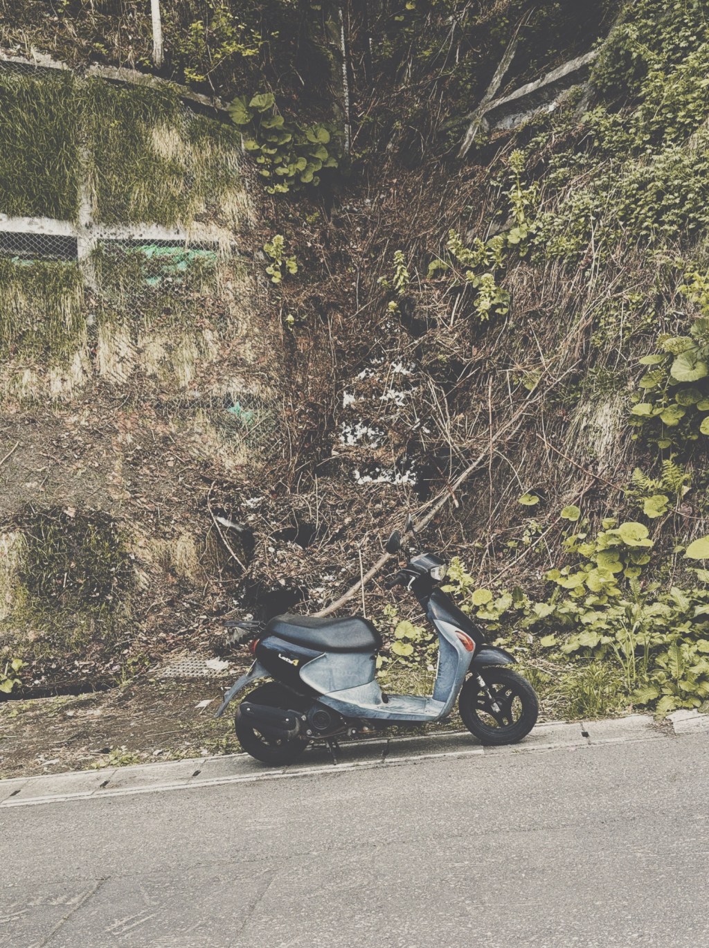 見晴らし坂にて