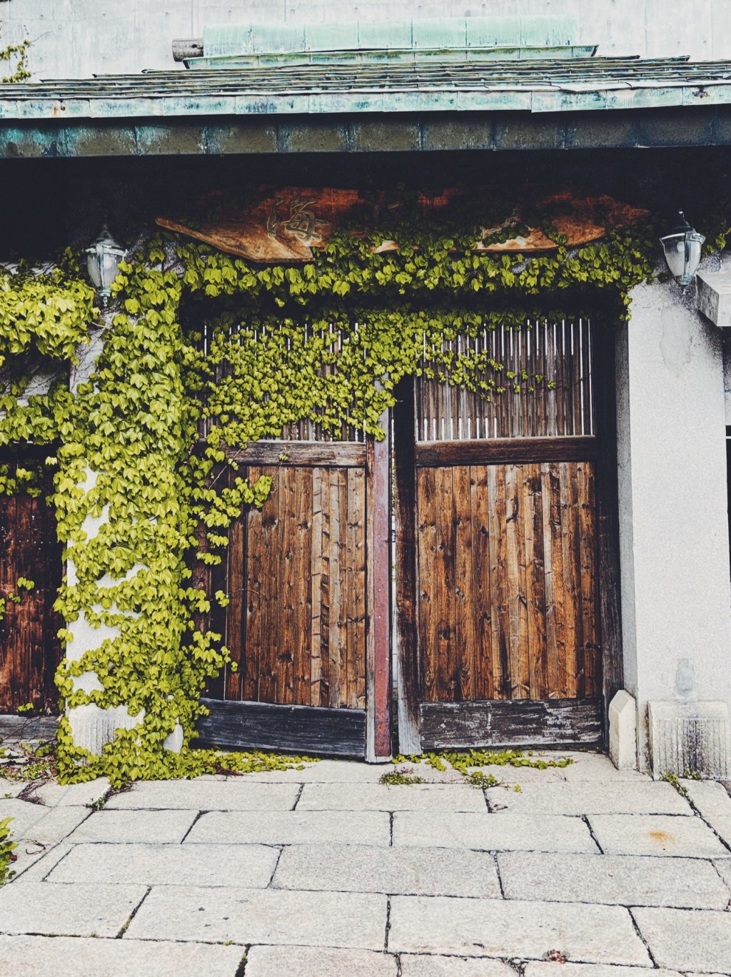 旧板谷邸、再び