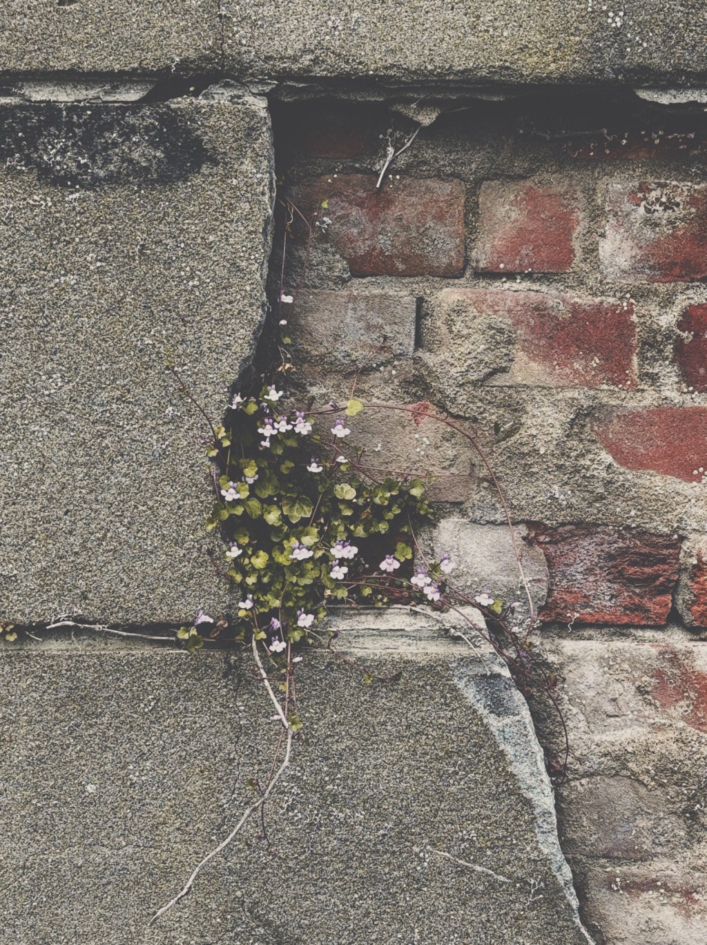 歴史とともに生きる