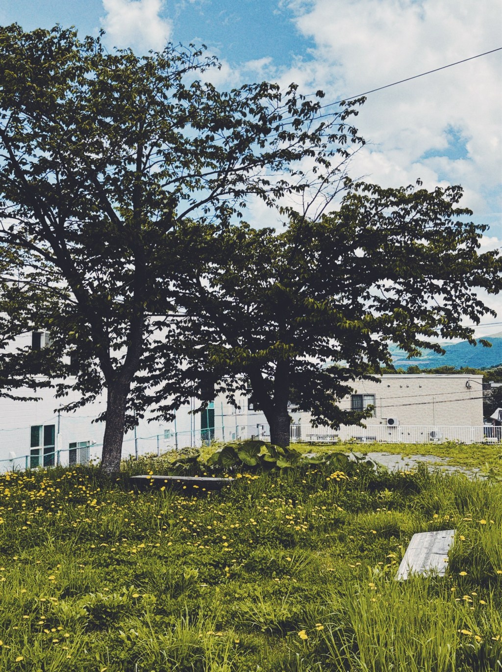 ある公園にて（2）